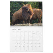 Calendrier Bison Buffalo 2026 (Jan 2027)