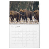 Calendrier Bison Buffalo 2026 (Feb 2027)