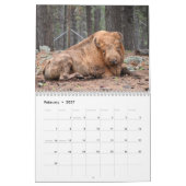 Calendrier Bison Buffalo 2027 (Feb 2027)