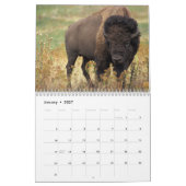 Calendrier Bison Buffalo 2027 (Jan 2027)
