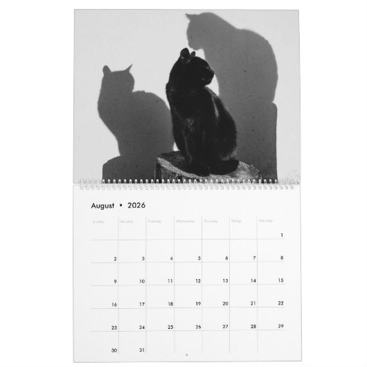 Calendrier Black Cats & Kittens Cute Kitty Cat 2020 (Aug 2026)