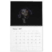 Calendrier Black Labrador (Feb 2027)
