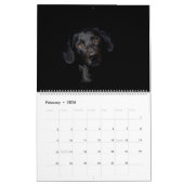 Calendrier Black Labrador (Feb 2026)