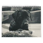 Calendrier Black Labrador Retriever Chien Photo pour animal d (Protection)