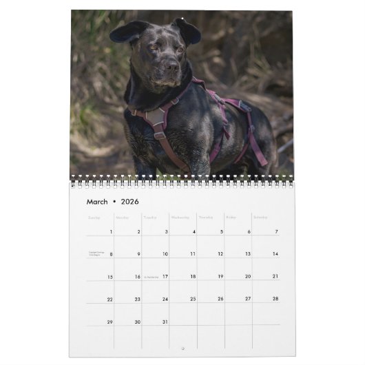 Calendrier Black Labrador Retriever Chien Photo pour animal d (Mar 2026)