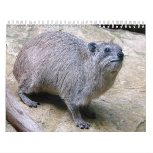 Calendrier Blaireau de roche