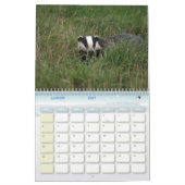 Calendrier Blaireaux Calendar Badgers Forêt Forest (Jan 2027)