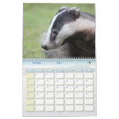 Calendrier Blaireaux Calendar Badgers Forêt Forest (Feb 2027)