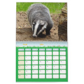 Calendrier Blaireaux Calendar Badgers Forêt Forest (Mar 2026)