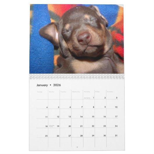 Calendrier blanc de dobermann (Jan 2026)