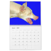 Calendrier blanc de dobermann (Mar 2027)