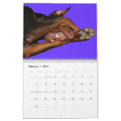 Calendrier blanc de dobermann (Feb 2027)