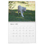 Calendrier blanc de tigres, tigres blancs (Feb 2026)