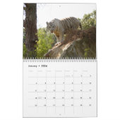 Calendrier blanc de tigres, tigres blancs (Jan 2026)