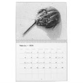 Calendrier blanc et noir épectique (Feb 2026)