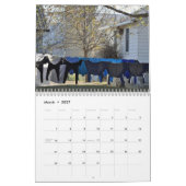 CALENDRIER BLANCHISSERIE AMISH 2017 (Mar 2027)