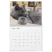 Calendrier Bleu russe et gingembre Orange Tabby Cats 2026 (Mar 2027)
