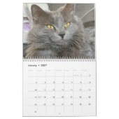 Calendrier Bleu russe et gingembre Orange Tabby Cats 2026 (Jan 2027)