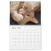 Calendrier Bleu russe et gingembre Orange Tabby Cats 2026 (Feb 2027)