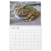 Calendrier Blobbi Pacman Frog Calendar (Mar 2027)