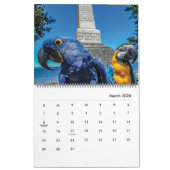 Calendrier Blue Parrot Books 2026 Calendar (Mar 2026)