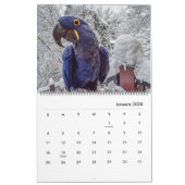 Calendrier Blue Parrot Books 2026 Calendar (Jan 2026)