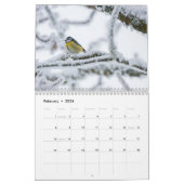 Calendrier Blue-Tit Bird 2025 (Feb 2026)