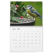 Calendrier Blue-Tit Bird 2025 (Mar 2027)