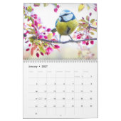Calendrier Blue-Tit Bird 2025 (Jan 2027)