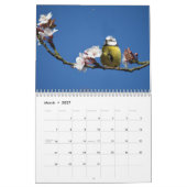 Calendrier Blue-Tit Bird 2026 (Mar 2027)
