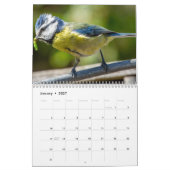 Calendrier Blue-Tit Bird 2026 (Jan 2027)
