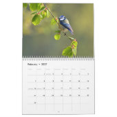Calendrier Blue-Tit Bird 2026 (Feb 2027)