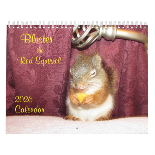 Calendrier Bluster the Red Squirrel 2026 Calendar (Protection)