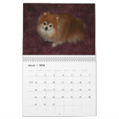 CALENDRIER BONBON POMERANIAN DE REINE (Mar 2026)