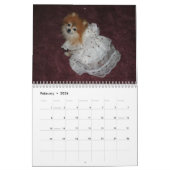 CALENDRIER BONBON POMERANIAN DE REINE (Feb 2026)
