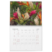 Calendrier Bora Bora | French Polynesia | Tahitian Calendar (Feb 2026)
