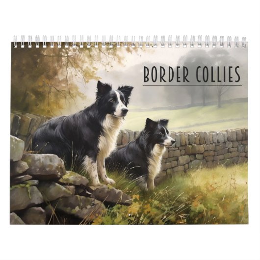 Calendrier Border Collies, n'importe quelle année (Protection)