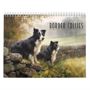 Calendrier Border Collies, n'importe quelle année