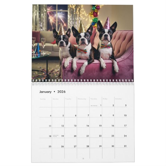 Calendrier Boston Terrier Calendar (Jan 2026)