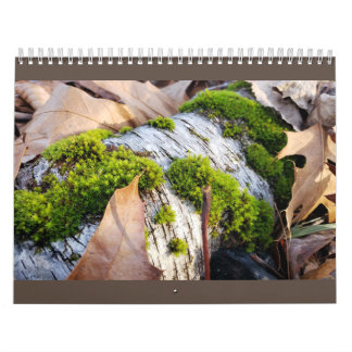 Calendrier botanique