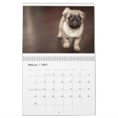 Calendrier Bouledogue (Feb 2027)