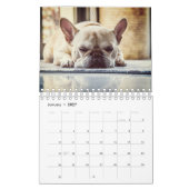 Calendrier Bouledogue français (Jan 2027)