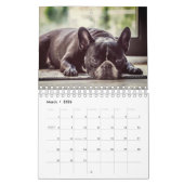 Calendrier Bouledogue français (Mar 2026)