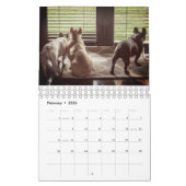 Calendrier Bouledogue français (Feb 2026)
