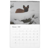 Calendrier bouledogue français superbe collection (Feb 2027)