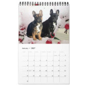 Calendrier bouledogue français superbe collection  (Jan 2027)
