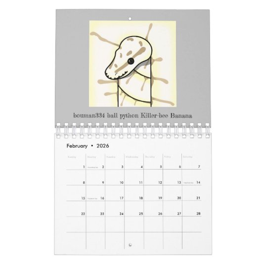 Calendrier bouman ball python series vol.2 カレンダー (Feb 2026)