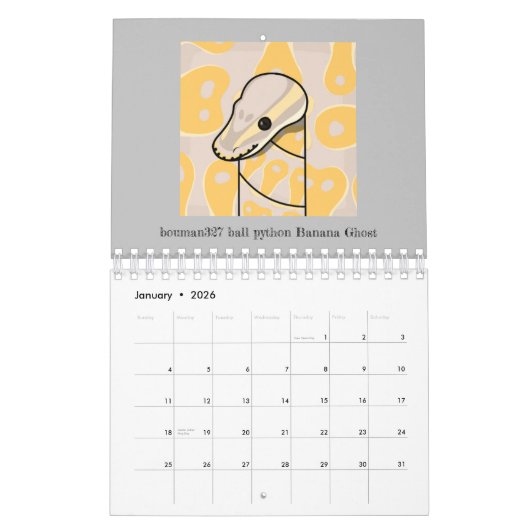 Calendrier bouman ball python series vol.2 カレンダー (Jan 2026)