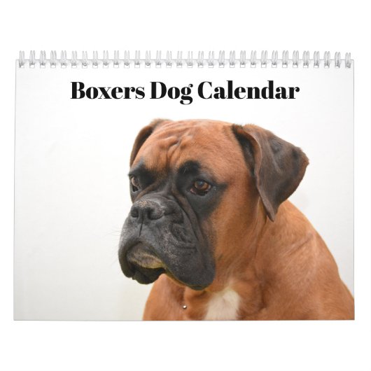 Calendrier Boxers Dogs 2020 (Protection)