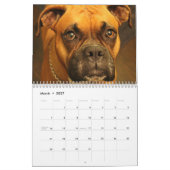 Calendrier Boxers Dogs 2020 (Mar 2027)